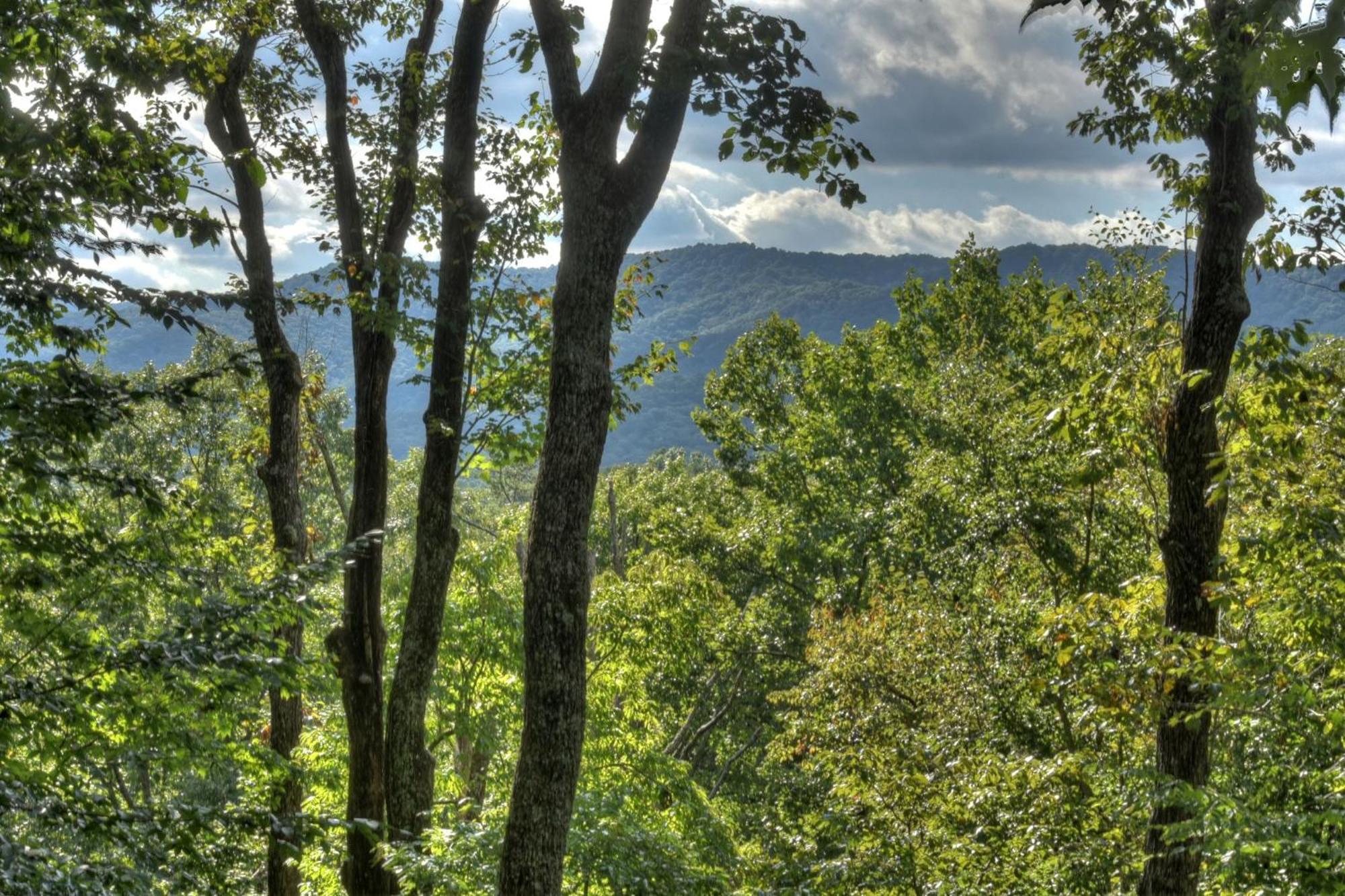 Bearfoot Ridge Wood-Burning Fireplace Cozy Hot Tub Serene Views エリジェイ エクステリア 写真